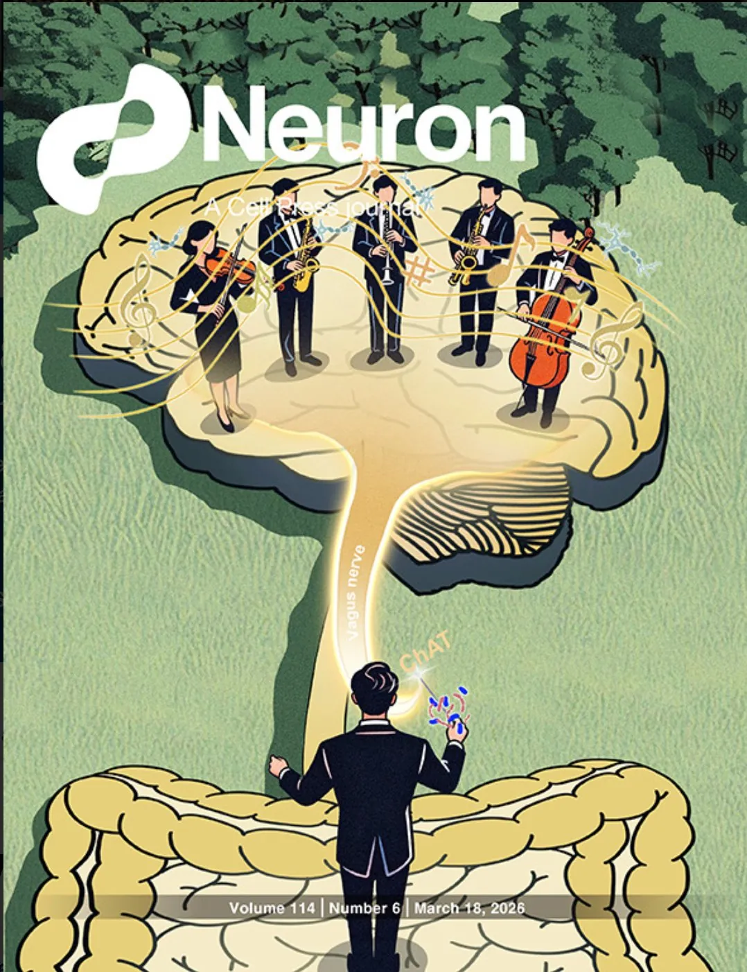 Gut–Brain Axis Science — Neuron Journal